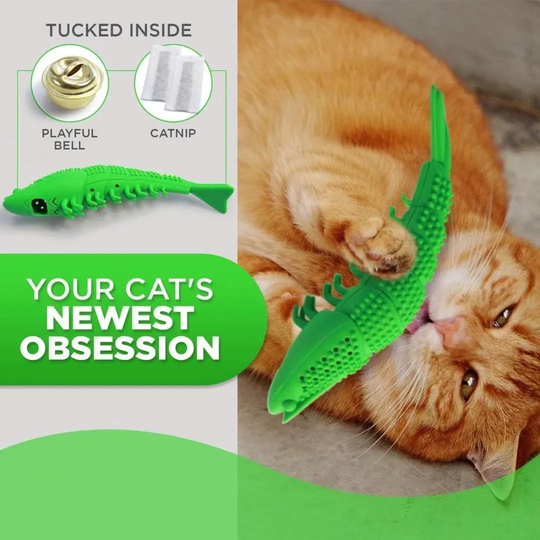 Blue catnip dental chew toy with rubber bristles for teeth cleaning