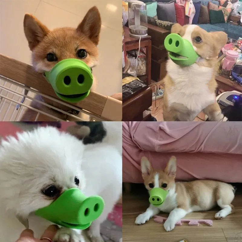 Silicone dog anti-bite mouth cover for long-mouthed pets in blue and green colours