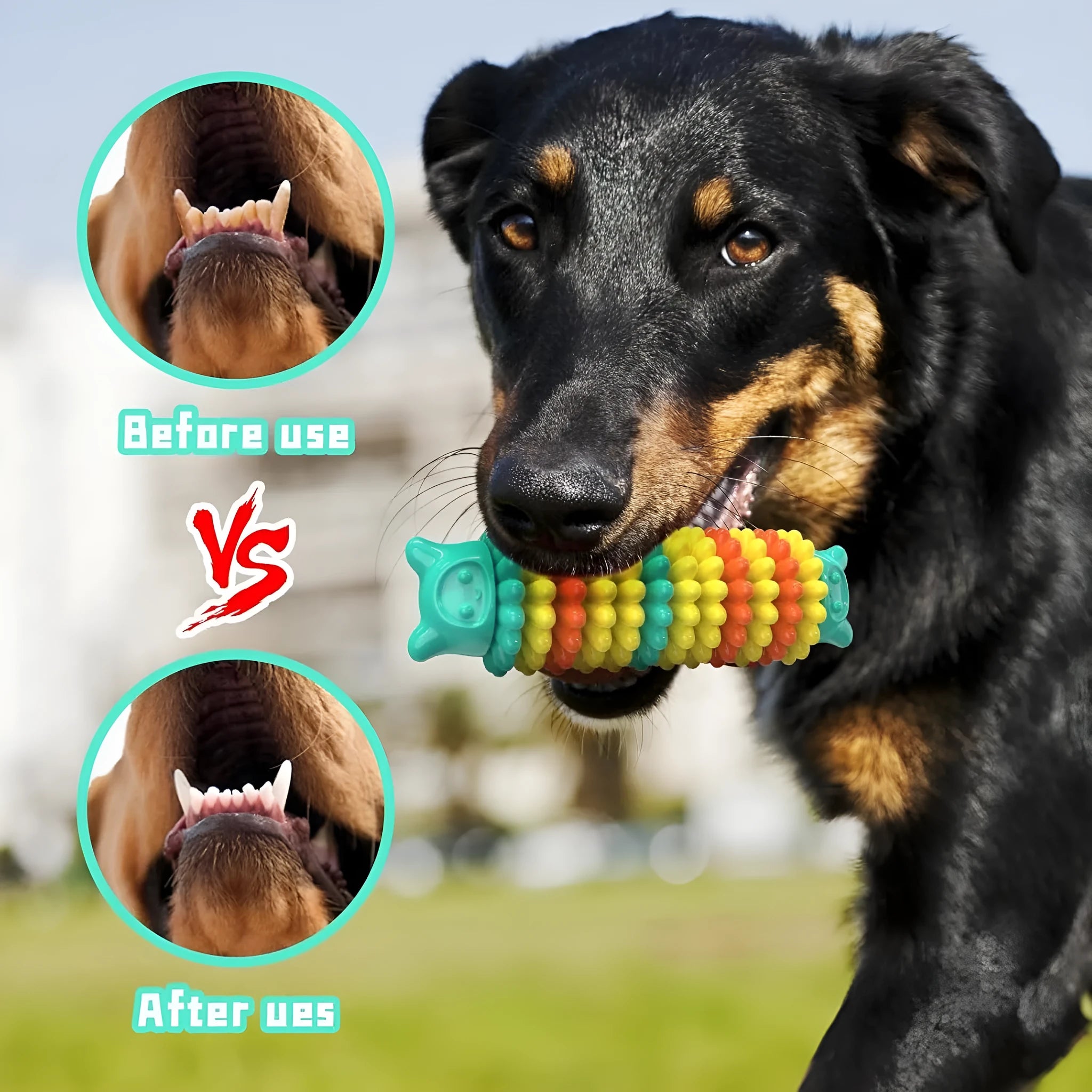 Blue natural rubber caterpillar-shaped dog chew toy for aggressive chewers on a white background.