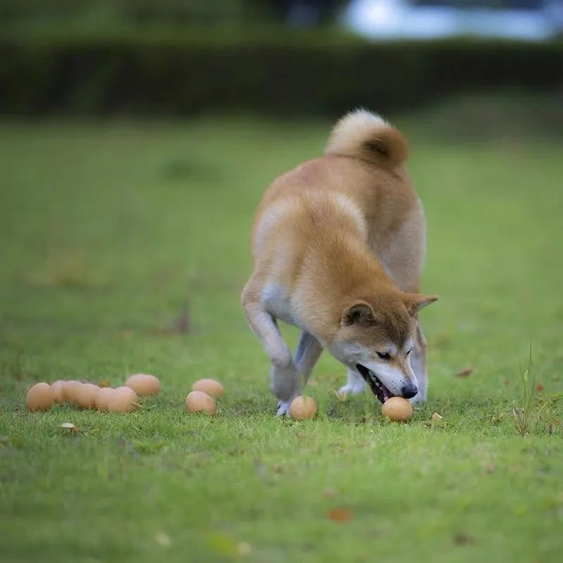 Egg-shaped dog toy with sound effects for chewing and dental care