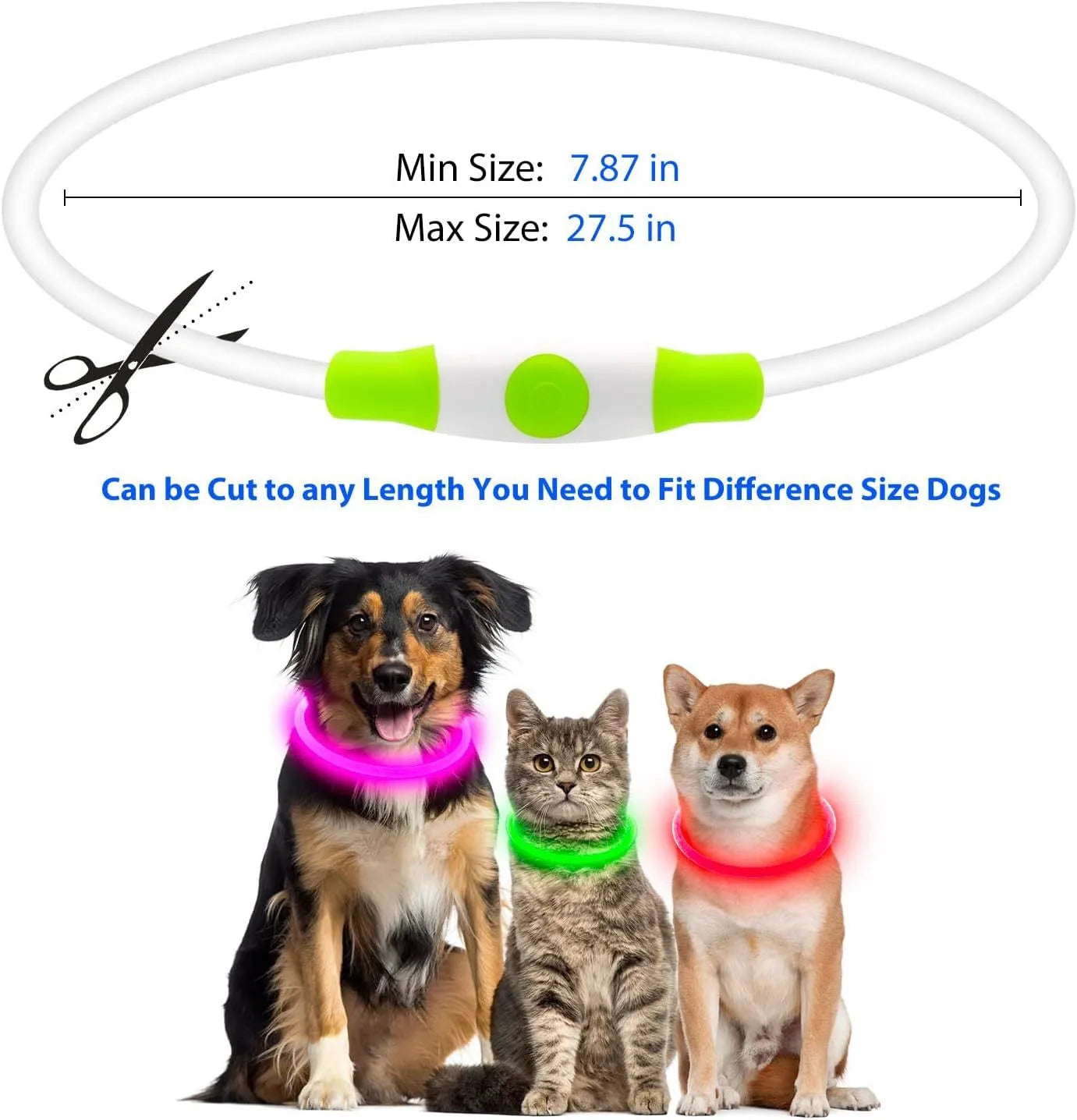 Blue USB-rechargeable LED dog collar glowing on a dog's neck at night.