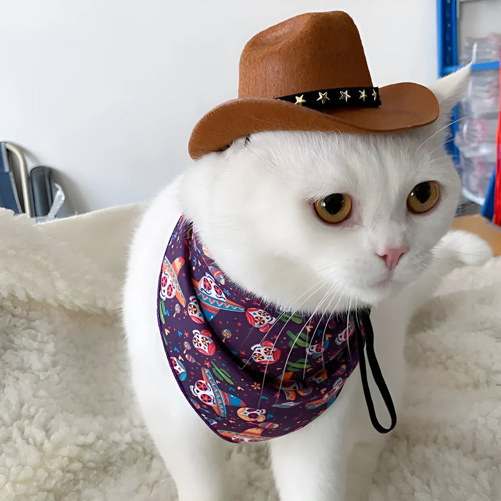 British cowboy hat for pets in non woven fabric with decorative velvet belt