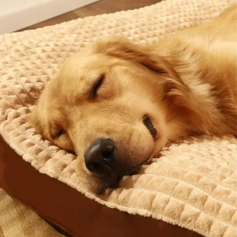 Soft fleece dog bed with a detachable blanket in green, shown in an XL size.