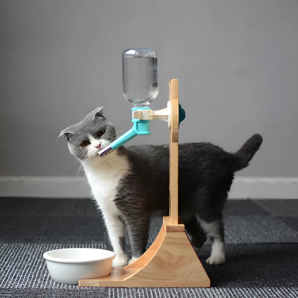 Cat drinking water dispenser with bamboo wood holder and 300ml water container in grey, green, and pink