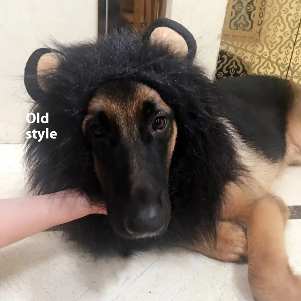Dog wearing adjustable lion headdress costume with elastic band in light brown colour
