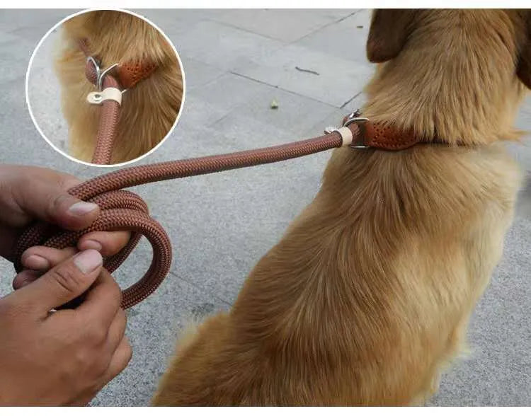 Brown nylon P chain dog leash with hand holding rope section, 2.1 metres long