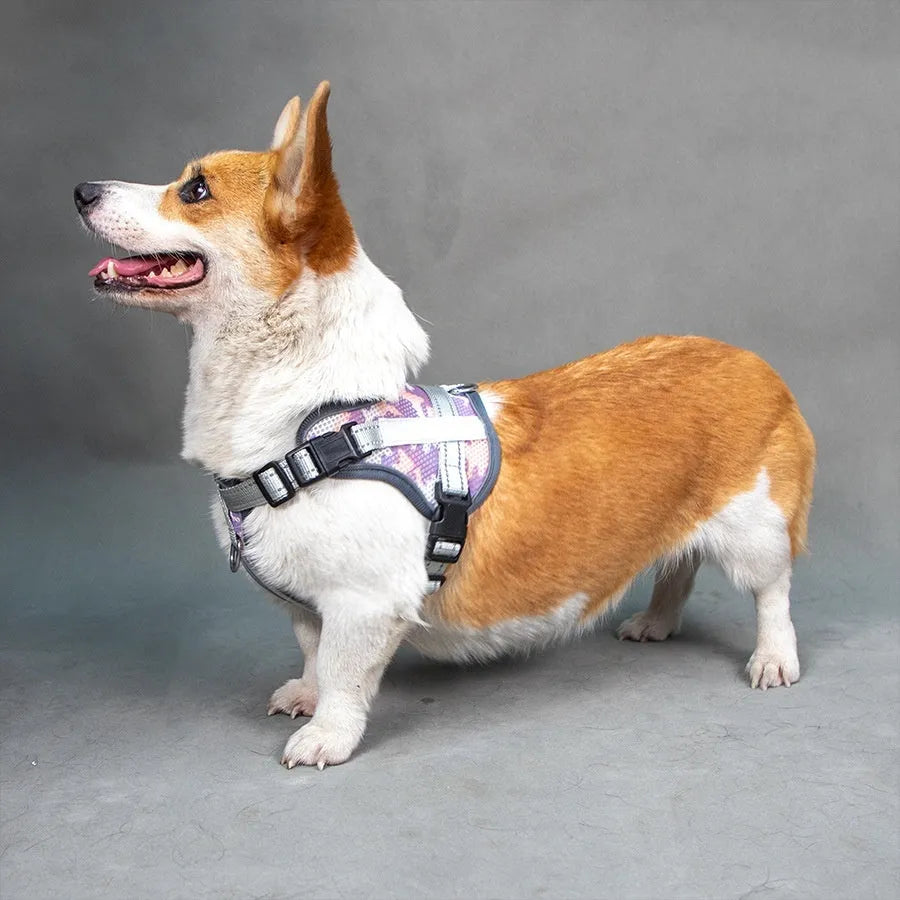 Colourful reflective polyester dog harness with anti-strangulation neck protection in multiple sizes