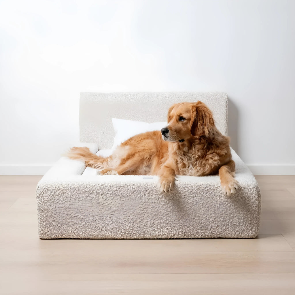White rectangular dog mat with backrest and sponge filling in L size on a floor