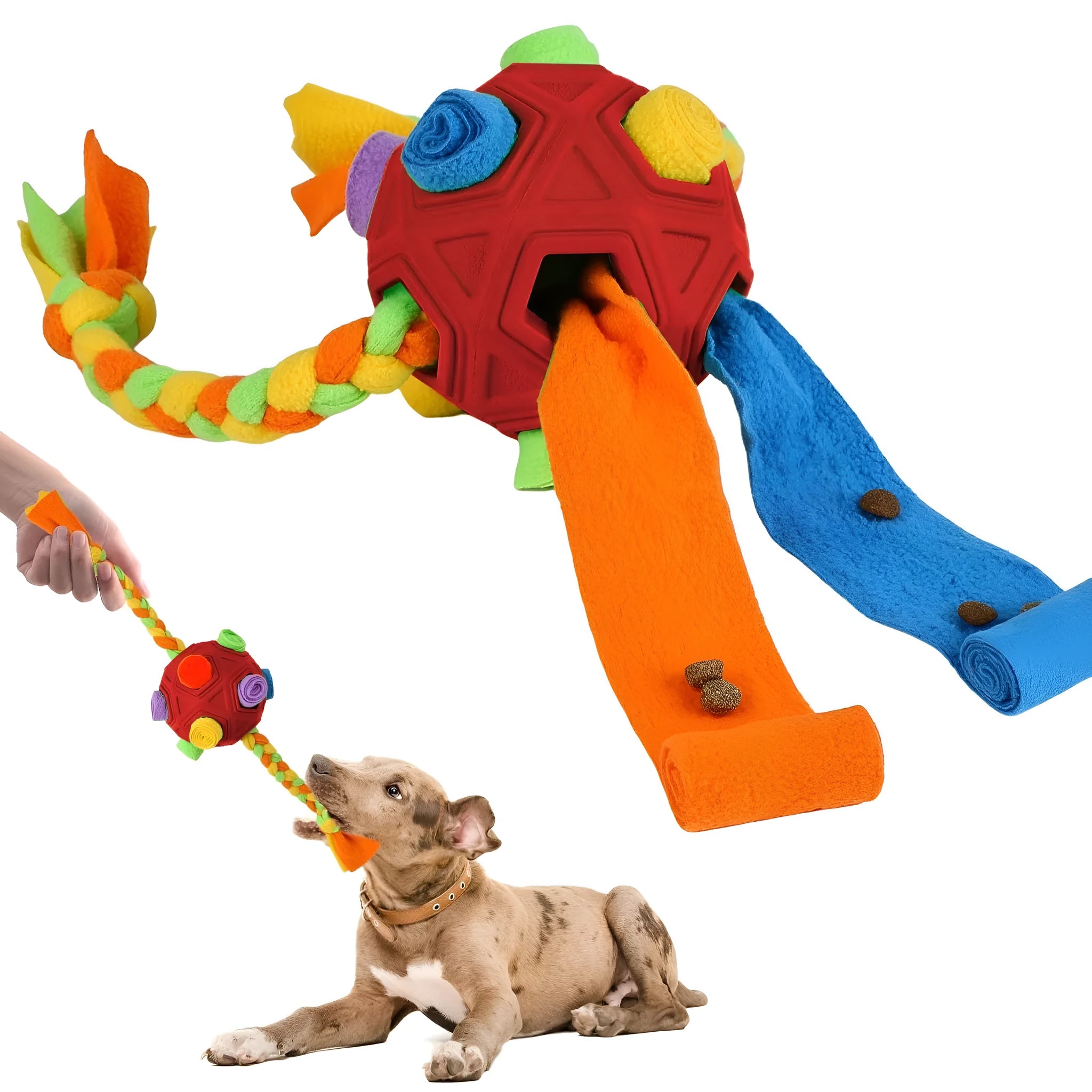 Colourful bite-resistant dog sniffing ball puzzle toy for IQ training and slow feeding.