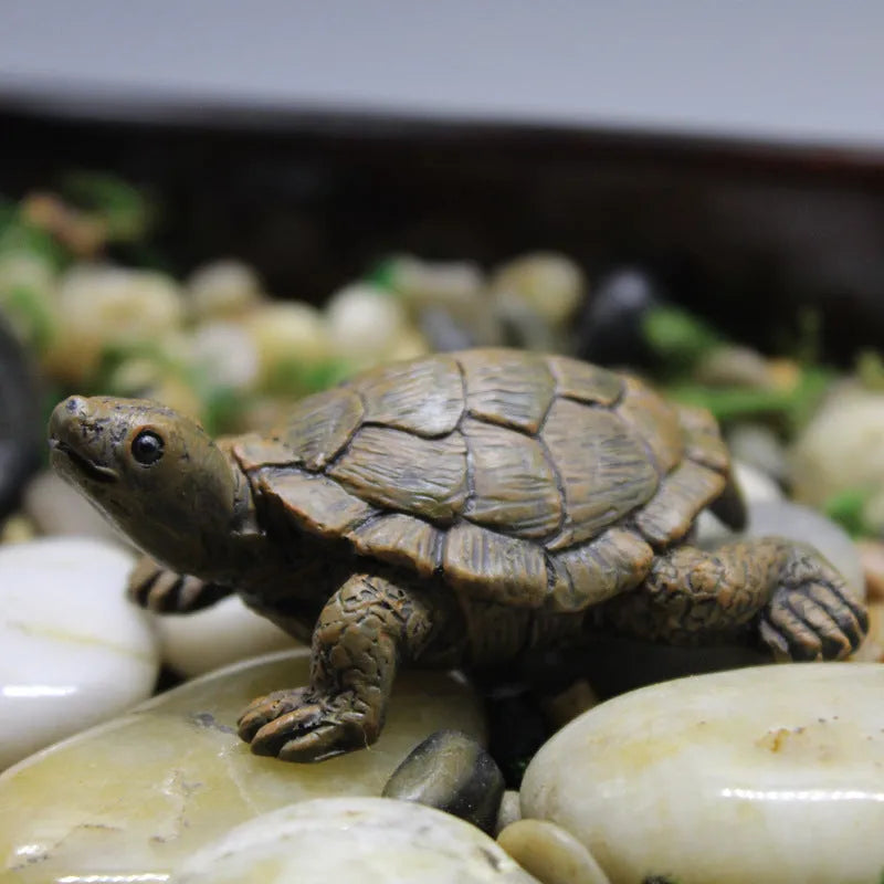 Realistic resin turtle ornament for micro landscape gardening decoration