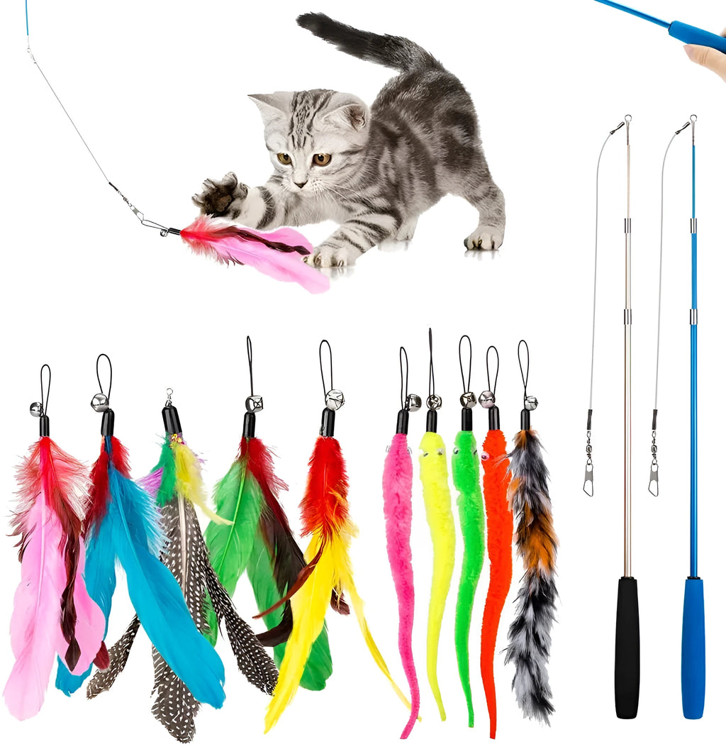 Cat teasing fishing rod toy with feather heads and replacement attachments