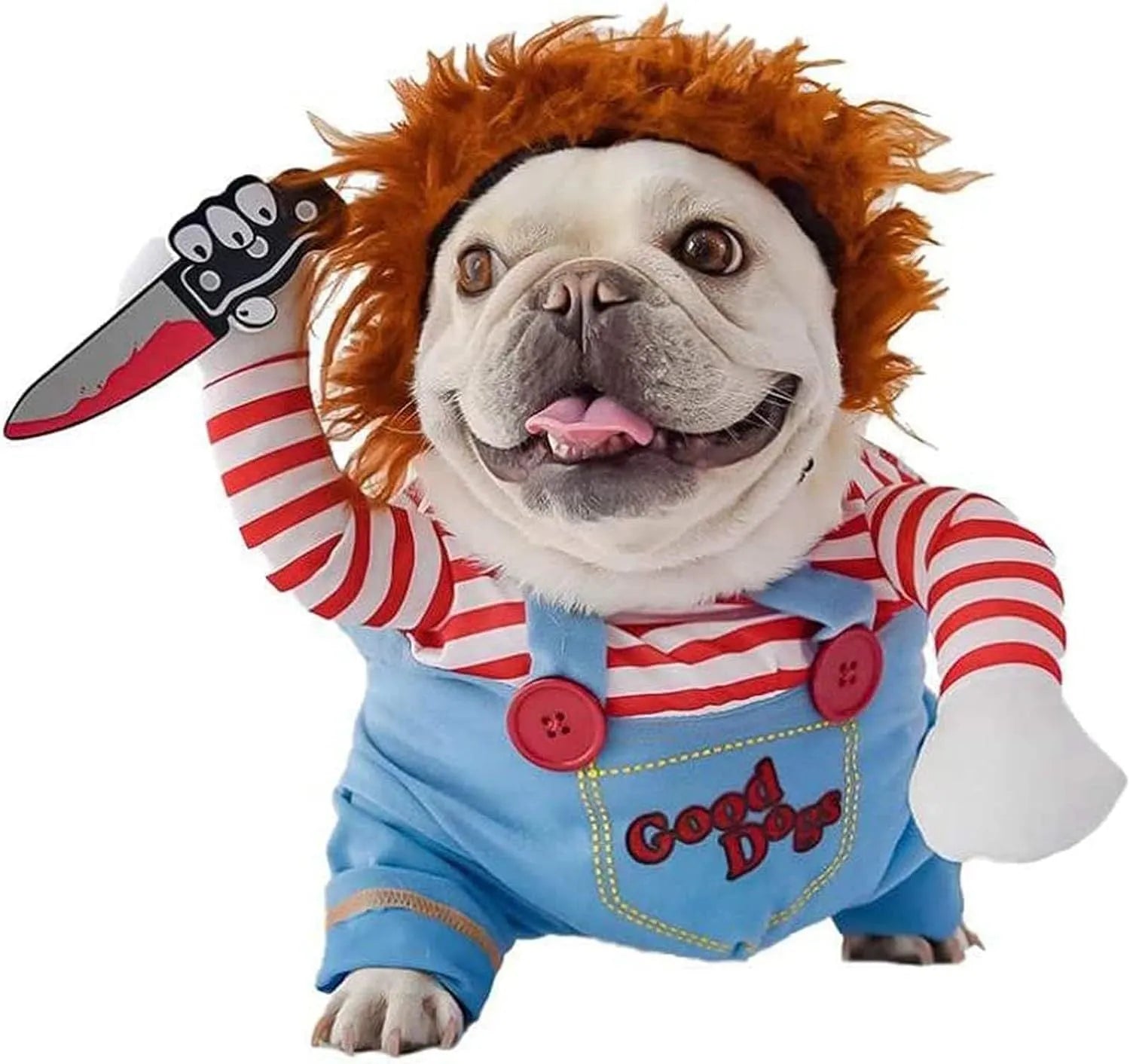 Halloween costume set on pet dog, showing striped harness pants and plastic knife prop.