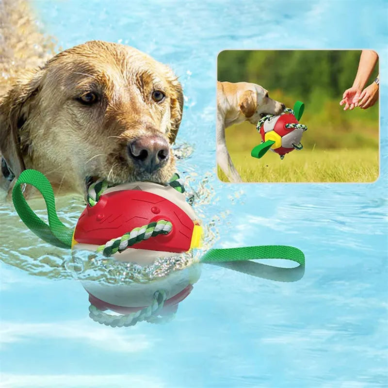 Interactive dog football soccer ball with tabs, flattened into frisbee shape, with woven nylon rope and cotton chewing rope, on grass.