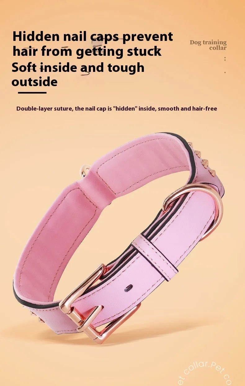 Close-up of a black leather dog collar with metal rivets and an adjustable buckle.