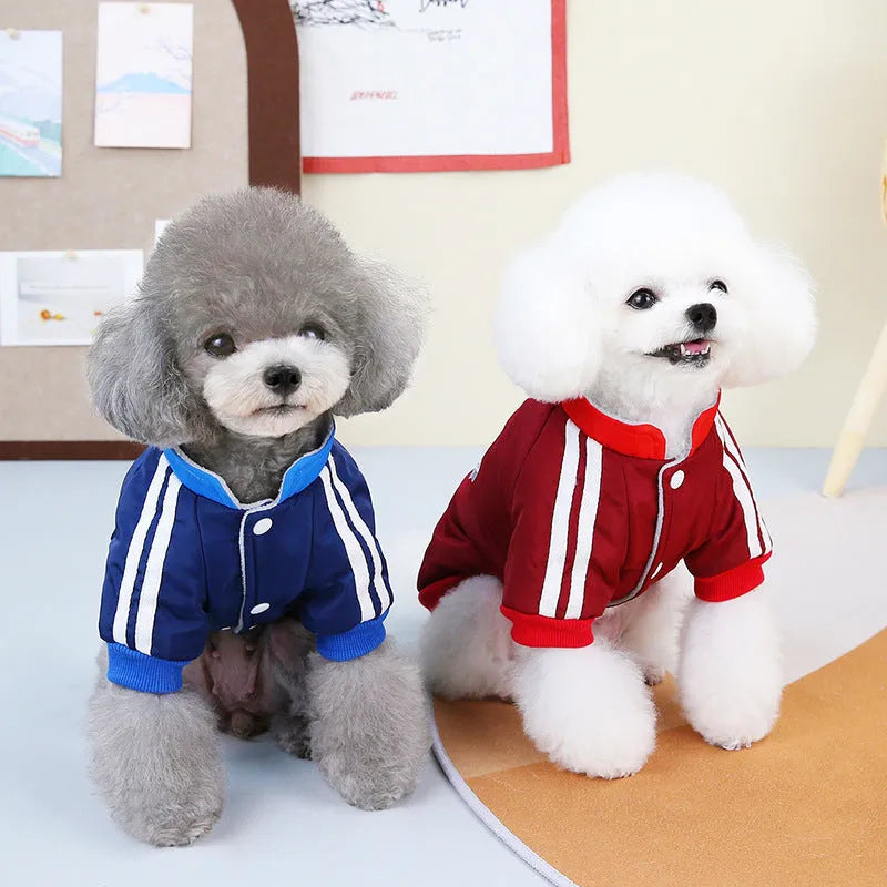 Red or blue dog coat with V-shaped splicing detail, shown on a pet.