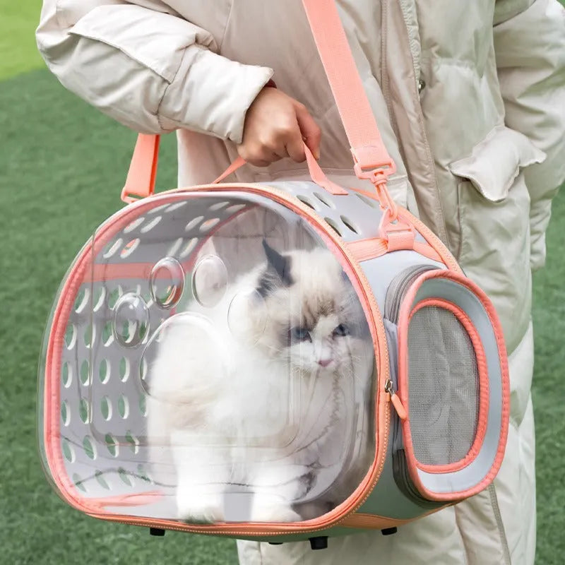 Transparent hard-shell EVA cat backpack carrier in grass green colour.