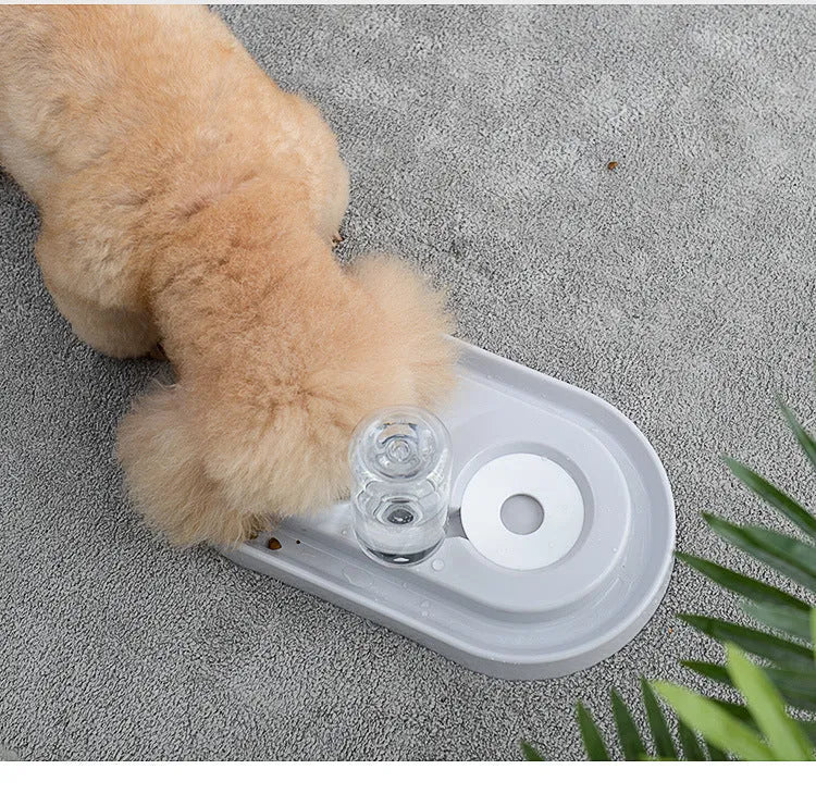 New automatic pet bowl with no wet mouth and splash-proof design in Gray colour option
