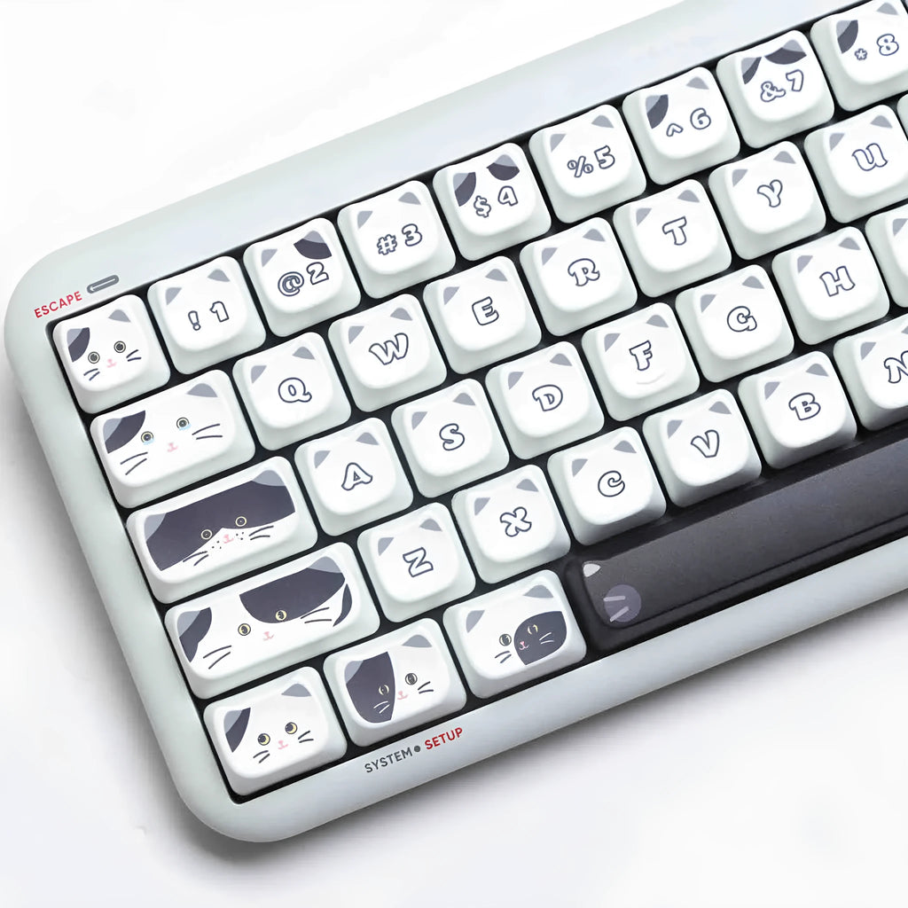 Black and white kitten sublimation key cap set for mechanical keyboards, PBT MAO profile, boxed packaging