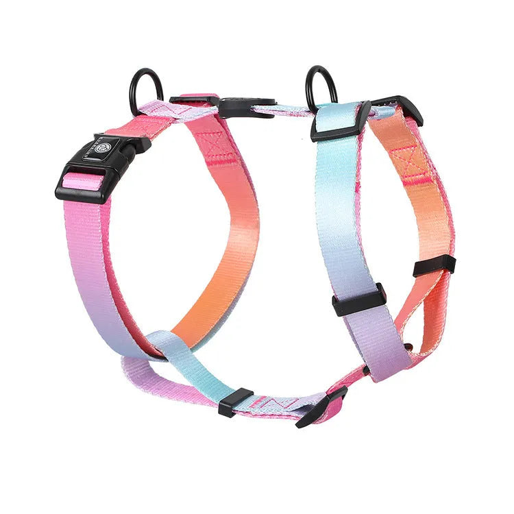 Gradient colour pet chest strap harness in purple, blue, neon, and green patterns on a dog.