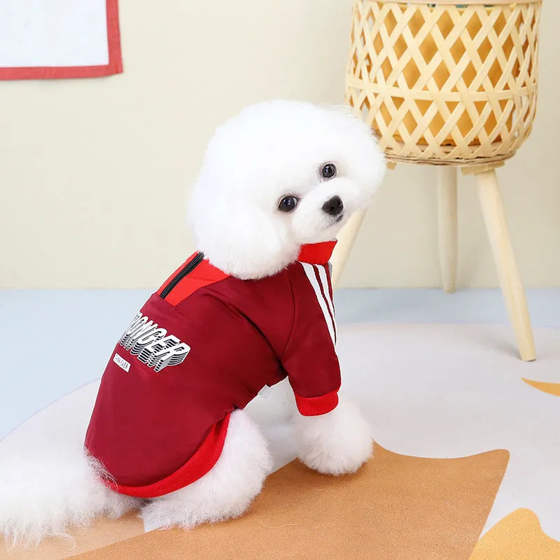 Red or blue dog coat with V-shaped splicing detail, shown on a pet.