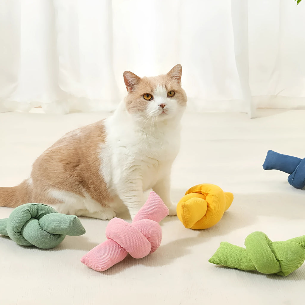 White natural cotton dog rope toy with multiple knots for tug play and dental cleaning