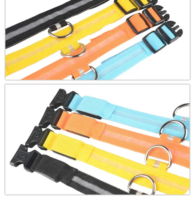 Nylon LED dog collar glowing blue on a black background, with adjustable buckle and four light modes for pet night safety