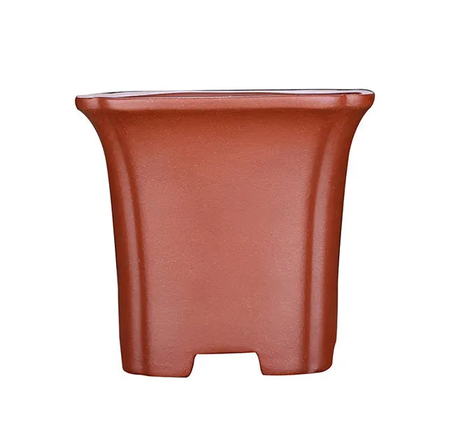 Classical square purple clay orchid pot in black colour, width 15.5 cm