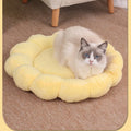 Blue half-enclosed plush pet bed measuring 50cm square for cats and small dogs.