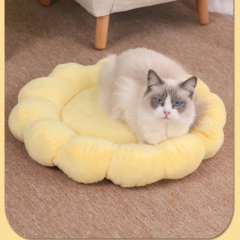 Blue half-enclosed plush pet bed measuring 50cm square for cats and small dogs.