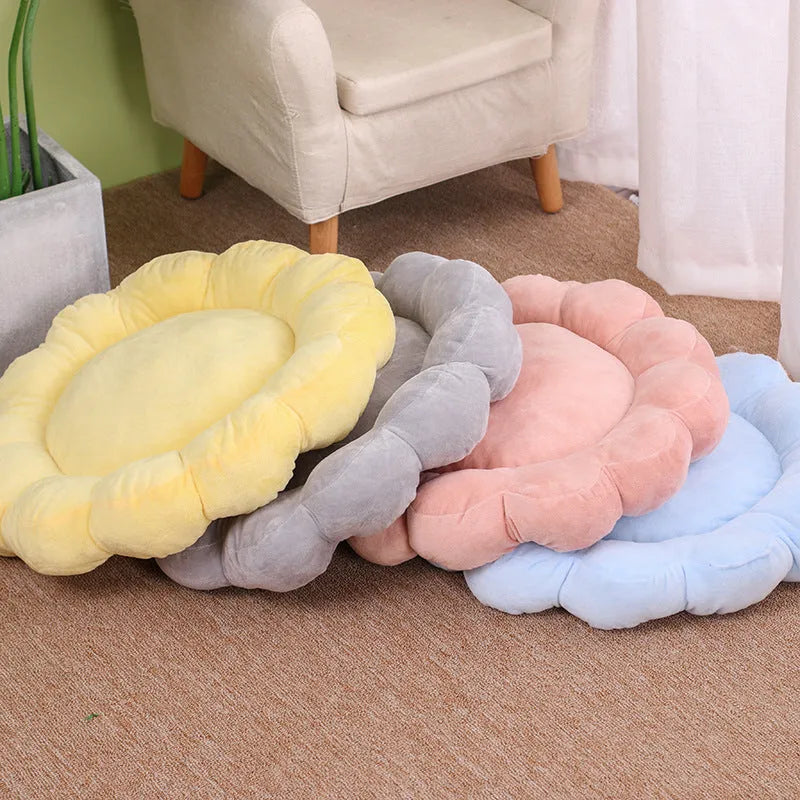 Blue half-enclosed plush pet bed measuring 50cm square for cats and small dogs.