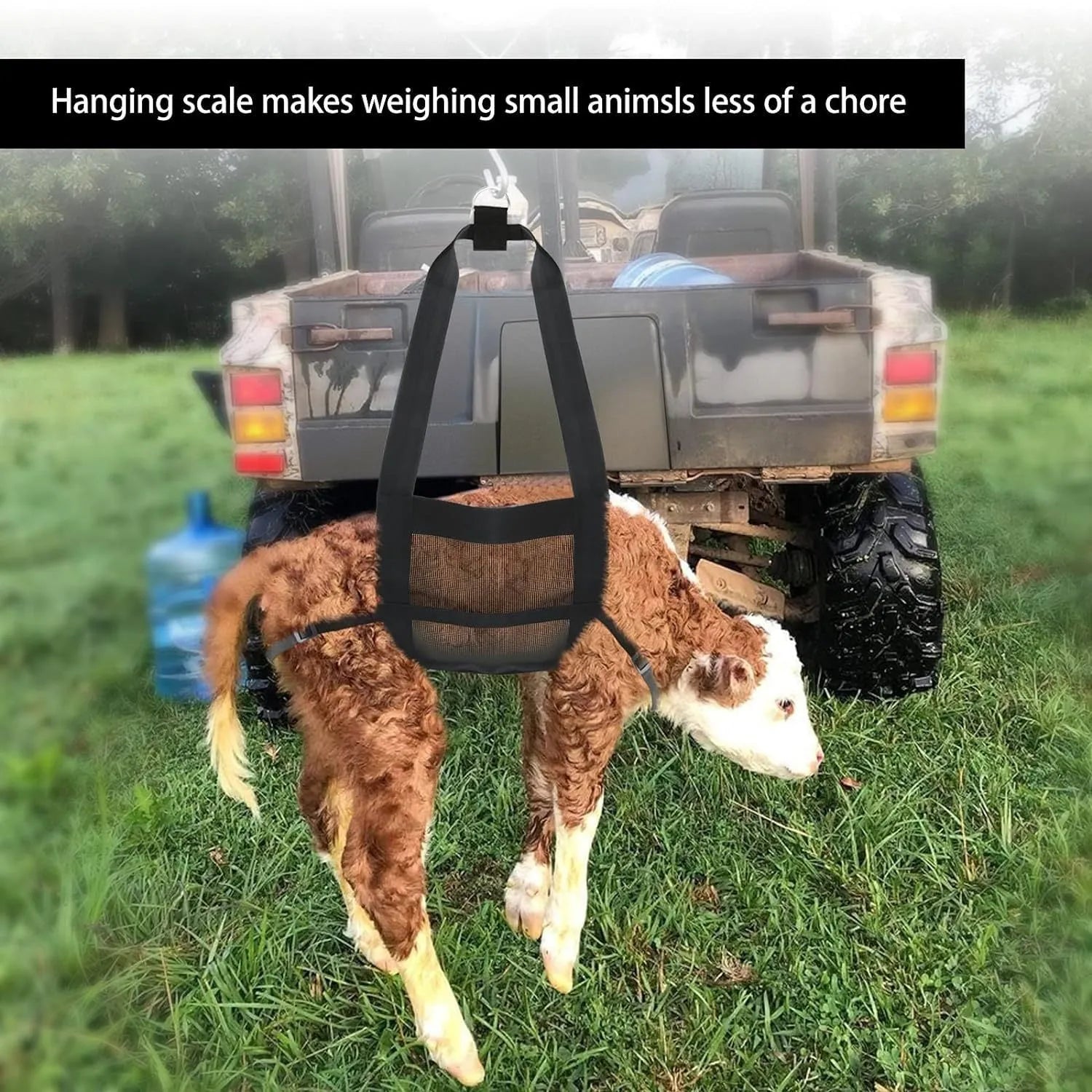 Large black nylon calf and dog weighing sling measuring 35x150cm for livestock and pet weight measurement