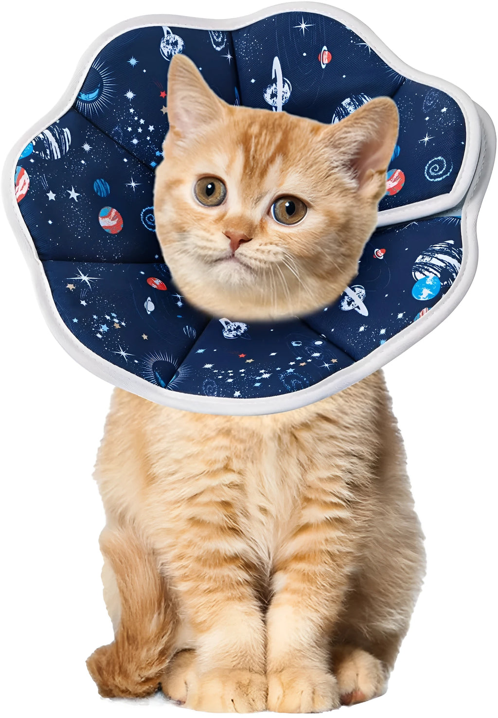 Soft adjustable cat recovery cone collar in constellation design with circular fastener