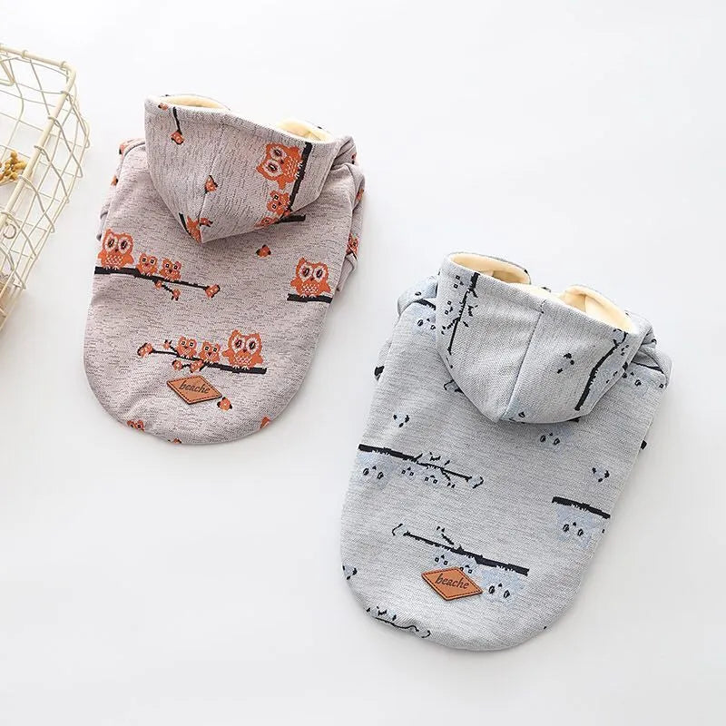 Casual blue cotton dog sweater with back zipper on a small dog, size S to XXL available