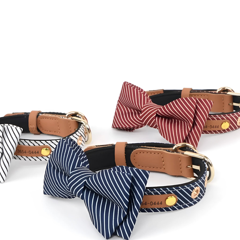 Cotton dog collar with detachable bow in dark blue colour showing 2cm width