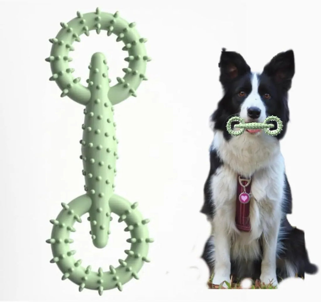 Blue TPR dog chew toy ring measuring 16cm diameter for teething puppies