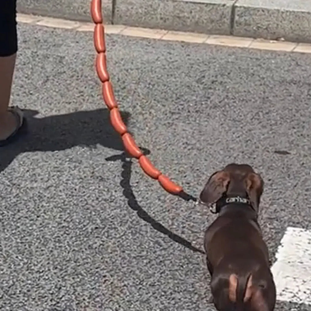 Brown pet hand rope leash with large sausage-shaped chew toys, measuring 108cm total length with grip tape section