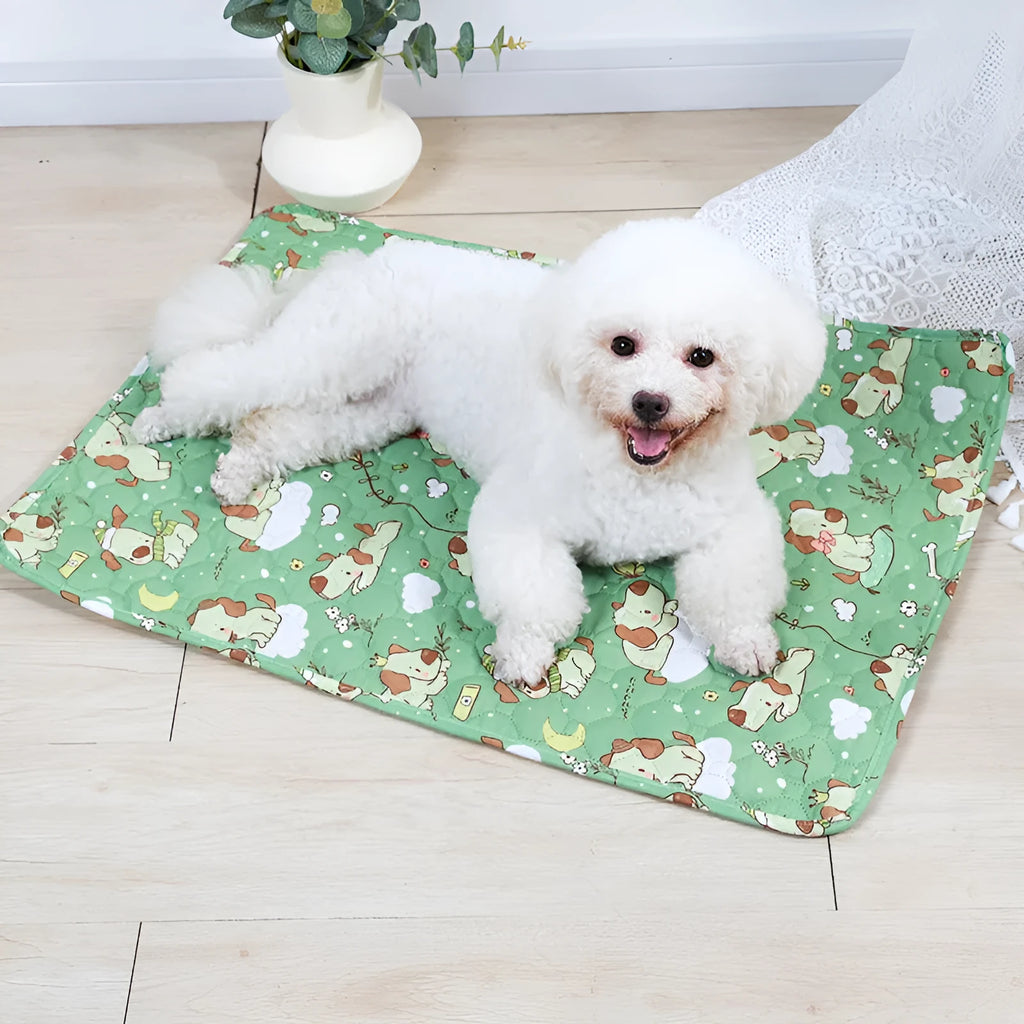 Reusable waterproof pet training pad with animal print design, shown in multiple sizes on a floor.