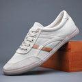 Men's canvas shoes, breathable cloth upper, low top, flat heel, front lace-up, sizes 38-46
