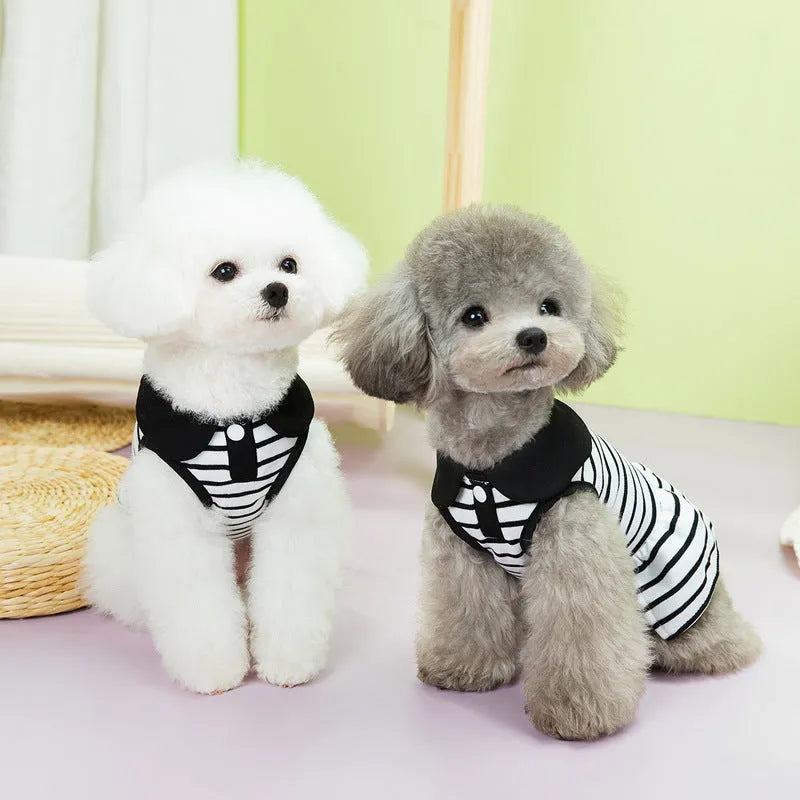 Cotton striped T-shirt and matching skirt set for a pet dog on a white background.