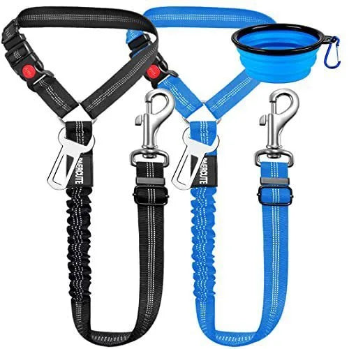 Nylon dog leash with metal buckle shown in multiple colour options including army green, black, blue, pink and red.