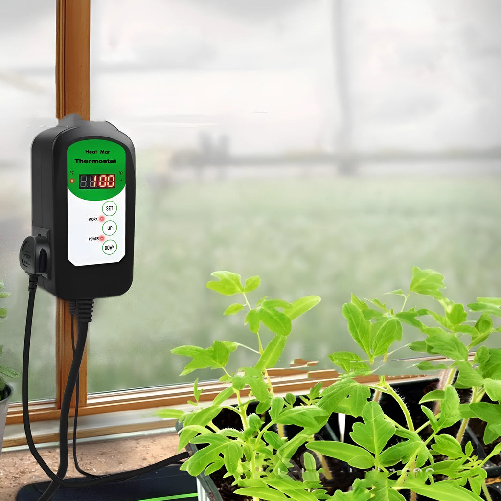 Digital temperature and humidity controller with LCD display showing readings