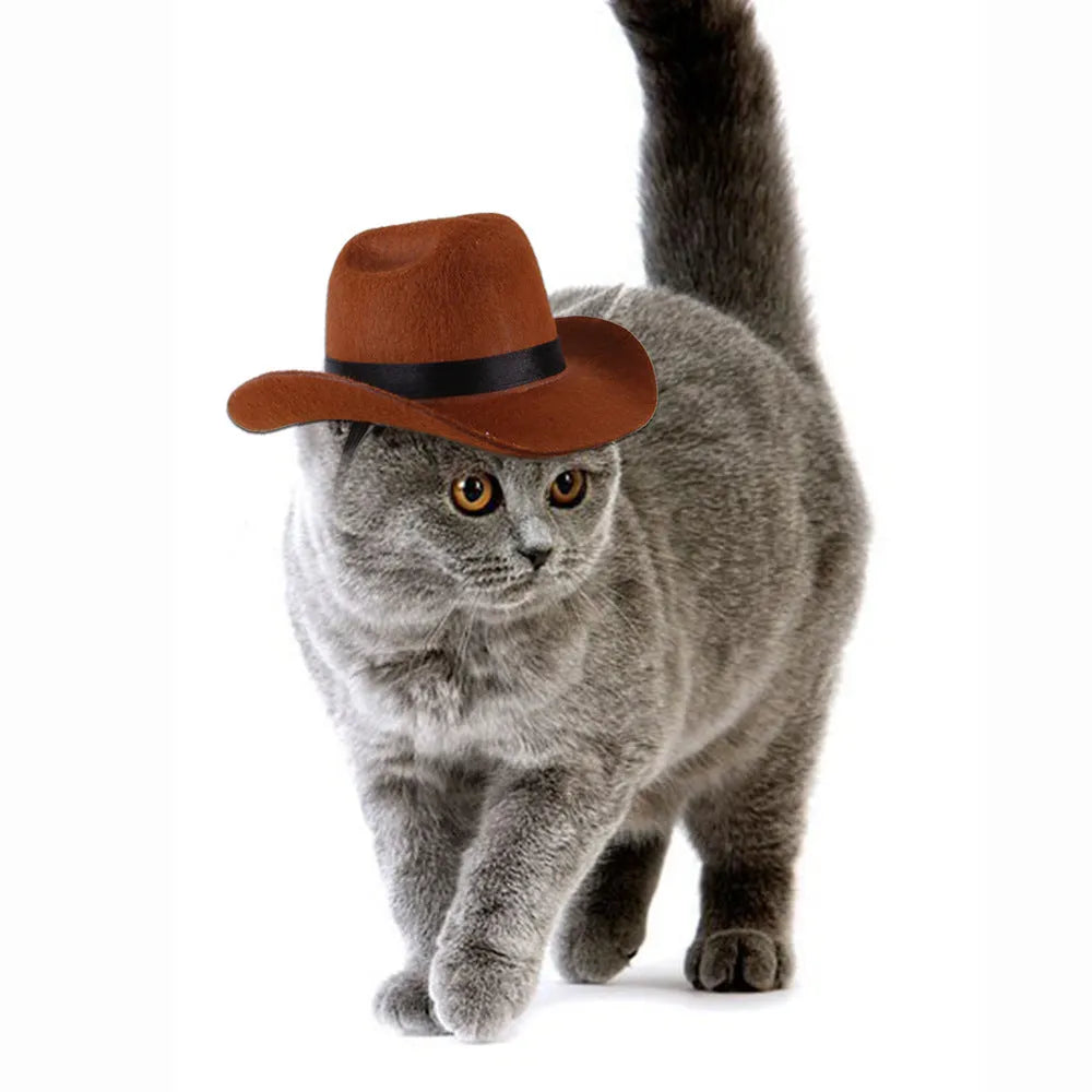 Brown adjustable fabric cowboy hat on a dog, showing rounded brim and headband strap.