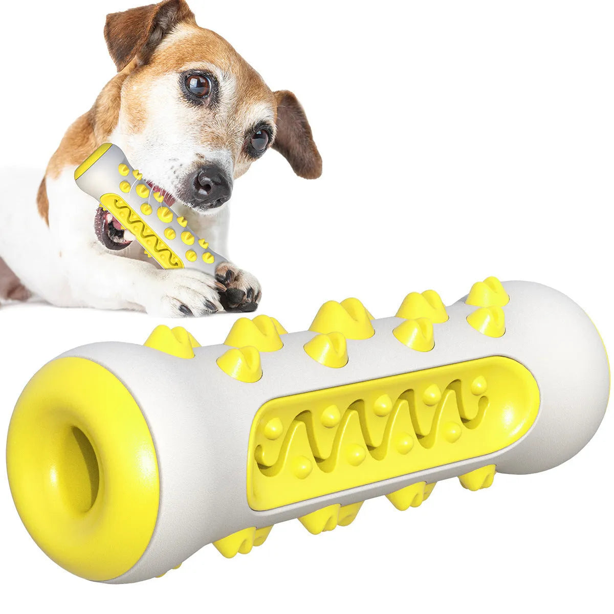 Natural rubber dog dental chew toy for teeth cleaning and tartar removal in blue colour