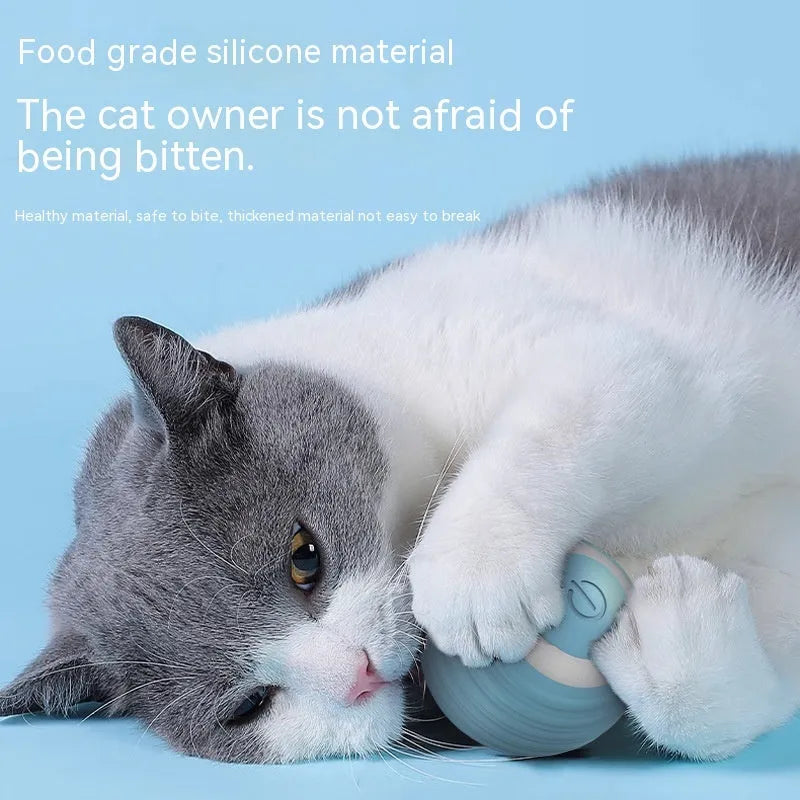 Blue rechargeable automatic moving cat ball toy on floor