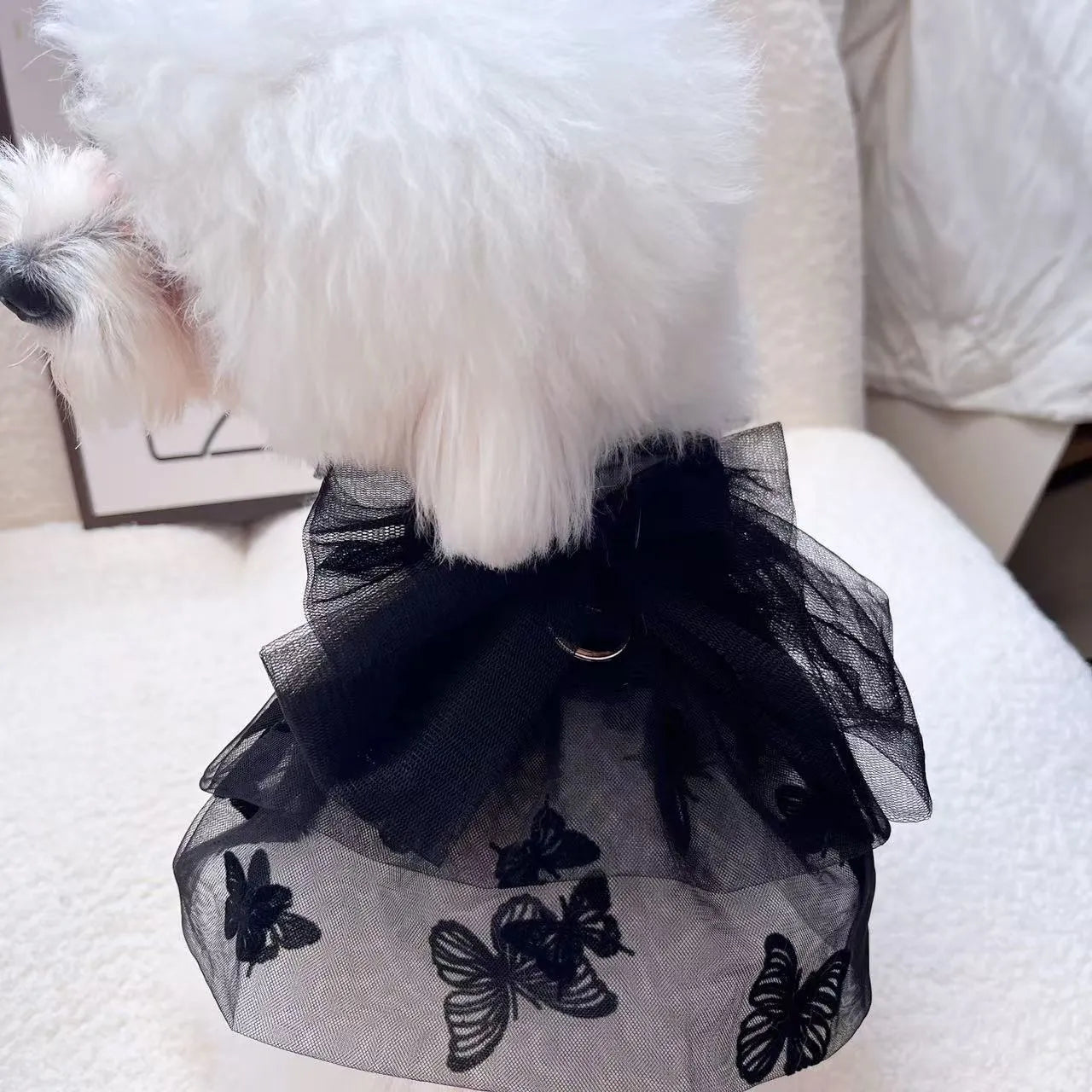 Black tiered tulle princess skirt on a small dog, showing the gauze layers and fit.