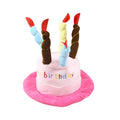Blue and pink soft birthday hat for small dog on white background.