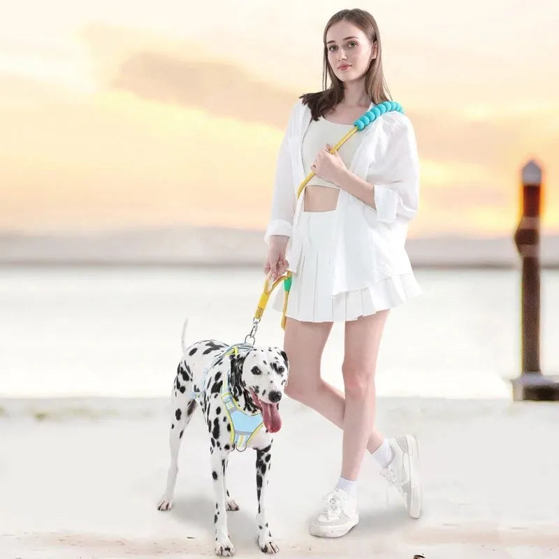 Dog leash with foam handle and 140cm nylon traction rope in choice of four colours