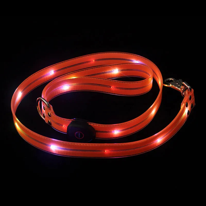 Luminous fluorescent PVC dog leash in orange, shown with hand holding loop.