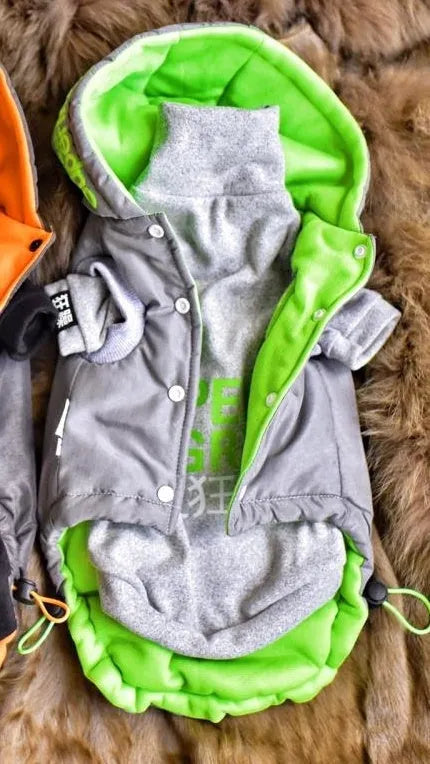 Space Grey hairless cat winter coat with windproof TP polyester outer and cotton lining, sizes S-XXL