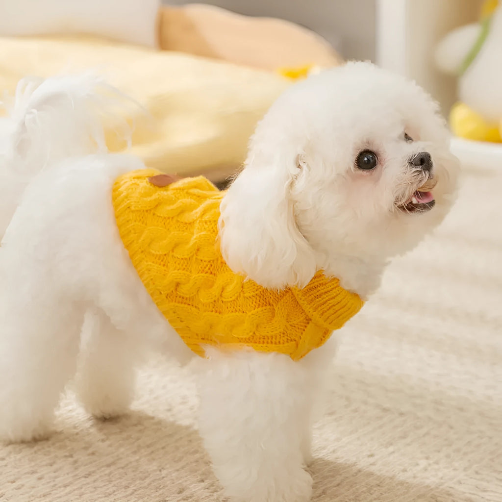 Dog wearing a simple twisted knitted sweater in autumn winter colours for small to medium dogs